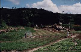 Agricultores ligados a Sociedade Agrícola e Pecuária dos Plantadores – Liga Camponesa (Local desconhecido, 19 jul. 2002). / Crédito: Olivio Lamas