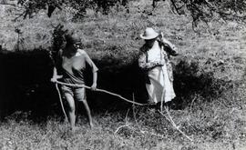Assentamento de trabalhadores rurais (Nossa Senhora da Glória-SE, [17 jun.] 1986). / Crédito: Mil...
