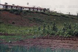 [Assentamento dos trabalhadores rurais sem terra no povoado Lameirão ([Delmiro Gouveira-AL, Data ...