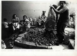 Distruição de alimentos no Fundo de Greve (São Bernardo do Campo-SP, 1980). / Crédito: Jesus Carl...