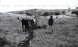 Assentamento de trabalhadores rurais (Nossa Senhora da Glória-SE, [17 jun.] 1986). / Crédito: Milton Pomar.