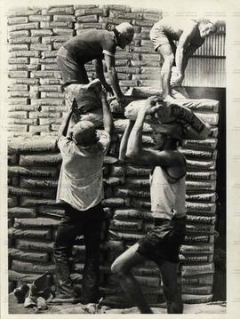 Trabalhadores carregam sacos de adubo (Campo Mourão-PR, 11 nov. 1977).  / Crédito: Carlos Ruggi.