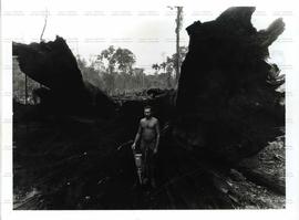 Queima de castanheira para sustentar produção de carvão destinados a usinas de ferro gusa (Marabá-PA, Data desconhecida). / Crédito: J. R. Ripper/Imagens da Terra