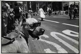 Passeata Gay, realizada na 5ª Avenida (Nova Iorque-EUA, jun. 1985). / Crédito: Zeca P. Guimarães/Agência F4.
